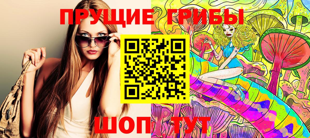 Каменск-Шахтинский  Галлюциногенные грибы прущие грибы  Вход с VPN  Галлюциногенные грибы Cubensis 